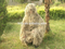 desert hunting clothing/camouflage sniper ghillie suit