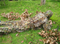 Yowie camo Ghillie Suits leaves hidden suit camouflage blind suit for hunting