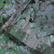 Army digital camouflage net woodland camo nettingcamouflage net